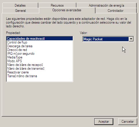 01_windows.jpg