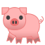 pig2